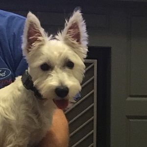 Meet your Posher, Nicki